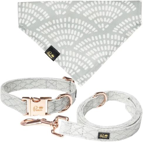 Dog Leash, 4 Feet Long, Stylish, Cute and Durable Accessories for Small, Medium and Large Pets, Training and Walking (Ditzy Floral, X-Small) in Saudi Arabia