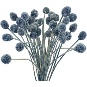 20Pcs Artificial Dried Craspedia Flowers Fake Dried Billy Button Balls Flowers for DIY Wedding Office Home Party Décor (Blue)