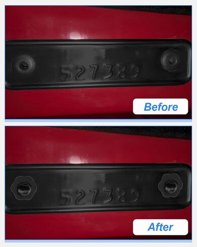 Fit for GM NOS Dash Rosette Rivets Stainless Steel, Fit for Ford Chrysler AMC VIN DOOR TAG Black 4Packs in Saudi Arabia