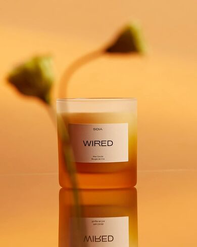 SIDIA - Braless Natural Candle (Bamboo, Amber, Guaiac Wood) | Luxury Clean Beauty + Non-Toxic Fragrance (8 oz | 240 g) in Saudi Arabia