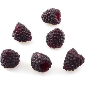 20PCS Fake Raspberry Ornament Artificial Raspberry Party for Photography Dining Table Decoration
