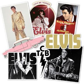 Desert Cactus Elvis Presley Sticker Sheet Vinyl Decal Crew Laptop Water Bottle Car Scrapbook (Type 2) (Version 8)