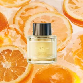 Ceeniu Car Air Fresheners - F26/F39 Dedicated Perfume Refill - 45ml