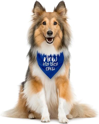 New to The Crew Dog Bandana, Dark Blue Dog Bandana, Funny Cute Dog Bandana, Pet Dog Triangle Scarf, Pet Dog Scarf Accessories, Gift for Dog Lover, Dog Bandana for Small Medium Large Dogs (E63) in Saudi Arabia