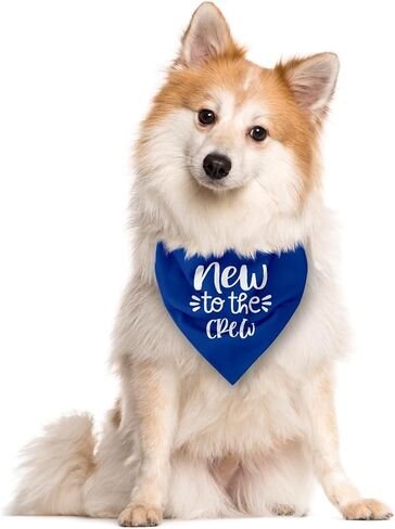 جديد إلى The Crew Dog Bandana، Blue Dog Bandana، مضحك لطيف الكلب باندانا، كلب كلب مثلث وشاح، إكسسوارات وشاح كلب أليف، هدية لمحبي الكلاب، كلب باندانا للكلاب الصغيرة والمتوسطة الكبيرة (D60) in Saudi Arabia