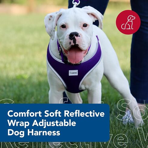 حزام للكلاب مريح وناعم عاكس قابل للتعديل من Coastal Pet - حزام للكلاب مانع للسحب للكلاب الصغيرة والكبيرة - أرجواني - 3/4 بوصة × 20 بوصة - 29 بوصة in Saudi Arabia