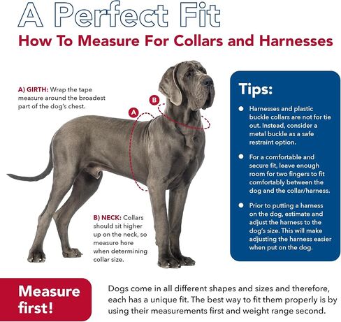 حزام للكلاب مريح وناعم عاكس قابل للتعديل من Coastal Pet - حزام للكلاب مانع للسحب للكلاب الصغيرة والكبيرة - أرجواني - 3/4 بوصة × 20 بوصة - 29 بوصة in Saudi Arabia