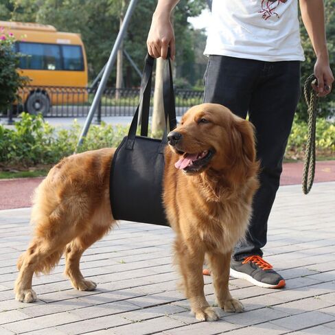Dog Lift Support Harness Walk Aid Sling Rehabilitation Belly Limb Belt for Rescue Carry Elder Weak Enjury Disable Pet Dogs Recovery (Small, Black) in Saudi Arabia