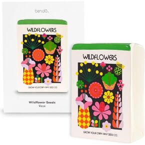 ban.do Unique Flower Vase, Decorative Vase Shaped Like Seed Packet, Colorful Ceramic Vase, Shelf Decor for Home or Office, Wildflower Seeds