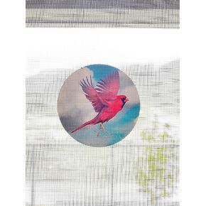 Retractable Screen Door Decals (Stickers) - 6 per Package - Keep Children Safe - Alert Birds, Dogs, Kids - Warn, Protect, Window Safety - Birds