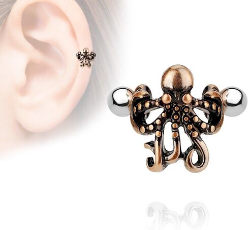 16G 8mm الأخطبوط الأذن الغضروف اللولب الكفة الدائري ثقب الصلب الجراحية in Kuwait