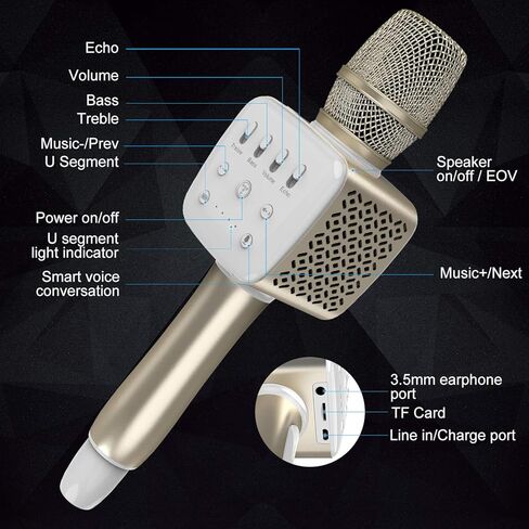 ميكروفون كاريوكي TOSING V2R للبالغين/الأطفال مع ميكروفونات بلوتوث، مكبر صوت نظام PA لاسلكي محمول، آلة كاريوكي للخارج، الحفلات، المنزل، السيارة، الكنيسة in Kuwait