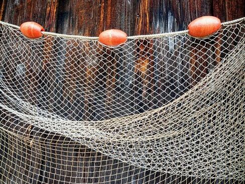PVC Fishing net Float 33x55mm, Hole 9mm, Buoyancy 35g in Saudi Arabia
