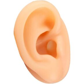 SHENGJMXIN GHuman Ear Model Simulation Artificial Human Right Ear Silicone Ear Model for Ear Picking, Ear Piercing Teaching, Acupuncture FakeEar Display Sample Practice Teaching Tool in Saudi Arabia