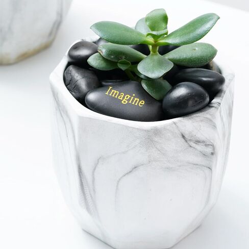 5lb Natural Polished Decorative Pebbles-Small Stones 3/10"-1/2"Gravel Size,River Rocks Pebbles for Plants, Home DIY Decor,Aquarium Gravel,Vase Fillers,Fairy Garden,Landscaping Stones. in Saudi Arabia