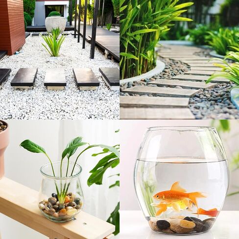 5lb Natural Polished Decorative Pebbles-Small Stones 3/10"-1/2"Gravel Size,River Rocks Pebbles for Plants, Home DIY Decor,Aquarium Gravel,Vase Fillers,Fairy Garden,Landscaping Stones. in Saudi Arabia