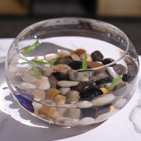 11LB Polished River Rocks for Plants with Mixed Colors 1/4-5/8Inch Decorative Natural River Stones Pebbles for Outdoor Small Stones Gravels for Home Decoration in Saudi Arabia