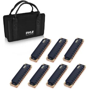 Pyle Professional Brass Metal Covered 10 Hole 7 Piece Diatonic Harmonica Kit - Blues Harp Set Includes Storage Case and Polishing Cloth - Key of C -Great for Pro, Beginner Lessons or Band - PHARM48ST