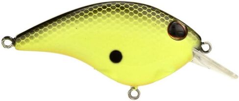 Berkley Clickin' Frittside Hard Bait in Saudi Arabia