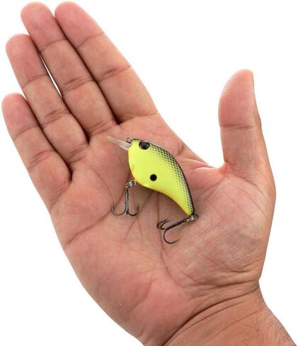 Berkley Clickin' Frittside Hard Bait in Saudi Arabia