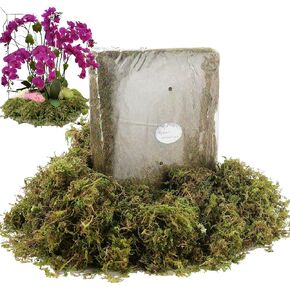 BYHER 19 OZ Fake Moss for Potted Plants Indoor, Artificial Moss for DIY Crafts, Faux Decroative Moss for Fake Plants Home & Garden Wedding Decor (Fresh Green - 540gr)
