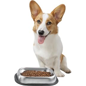 304 Stainless Steel Metal Food Dishes, with Cleaning Kit, Shallow Dog Food Bowls, Feeder Dog Bowls Water Bowl, for Small/Med Sized Cats Dogs (8.2 inch/1 Bowl)
