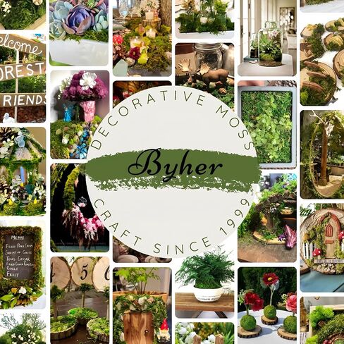 BYHER 19 أونصة طحلب وهمي للنباتات المزيفة في الداخل، طحلب صناعي للحرف اليدوية، طحلب صناعي للنباتات المزيفة ديكور المنزل والحديقة (أخضر طازج - 540 جرام) in Kuwait
