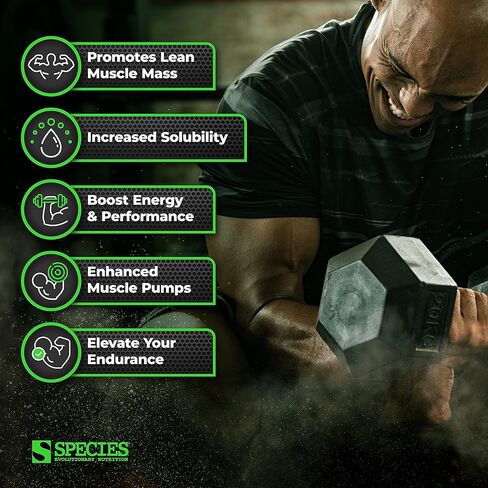 مسحوق الكرياتين من Species Nutrition، 100% كرياتين مونوهيدرات مع قابلية الذوبان لدعم الكتلة الخالية من الدهون والقدرة على التحمل والقوة، مشروب التعافي بعد التمرين، خالي من الغلوتين (بدون نكهة، 17.6 أونصة) in Kuwait