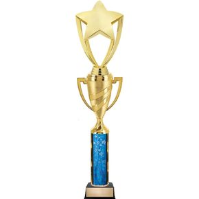 14" Gold Star Trophies, Large Corporate Star Trophy Great for Custom Recognition Awards Prime