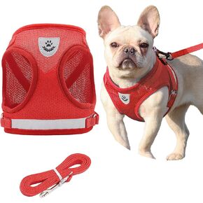Step in Dog Harness and Leash Set,Reflective Adjustable Soft Mesh Breathable Pet Vest Dog Harnesses Set, No Chock No Pull Padded Puppy Harnesses for Small Dogs and Cats (Gray, Small)