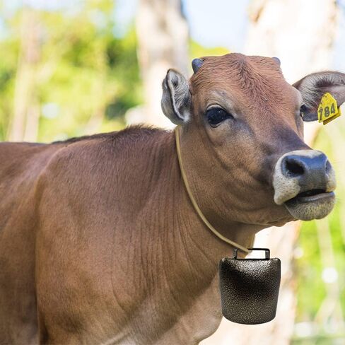 Super Large Metal Cowbell 8.5x9cm/3.35x3.54in, Grazing Bell for Cattle and Horse, Farm Animal Bell, Solid and Loud Noisemaker Cheering Bell for Sporting Events and Games (Bronze) in Saudi Arabia