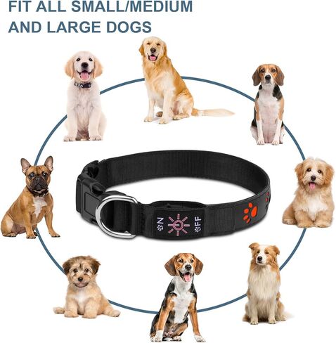 أحدث طوق للكلاب مضيء، قابل لإعادة الشحن 3 أوضاع 3 ألوان، طوق متوهج LED، أضواء للكلاب مقاومة للماء تجعل الحيوانات الأليفة مرئية للمشي ليلاً، قلادة هزلي متوهجة للكلاب الصغيرة والمتوسطة والكبيرة، مقاس M in Kuwait