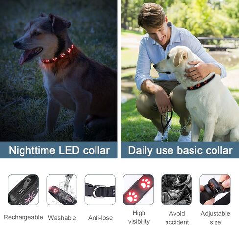 أحدث طوق للكلاب مضيء، قابل لإعادة الشحن 3 أوضاع 3 ألوان، طوق متوهج LED، أضواء للكلاب مقاومة للماء تجعل الحيوانات الأليفة مرئية للمشي ليلاً، قلادة هزلي متوهجة للكلاب الصغيرة والمتوسطة والكبيرة، مقاس M in Kuwait