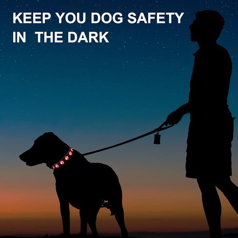 أحدث طوق للكلاب مضيء، قابل لإعادة الشحن 3 أوضاع 3 ألوان، طوق متوهج LED، أضواء للكلاب مقاومة للماء تجعل الحيوانات الأليفة مرئية للمشي ليلاً، قلادة هزلي متوهجة للكلاب الصغيرة والمتوسطة والكبيرة، مقاس M in Kuwait