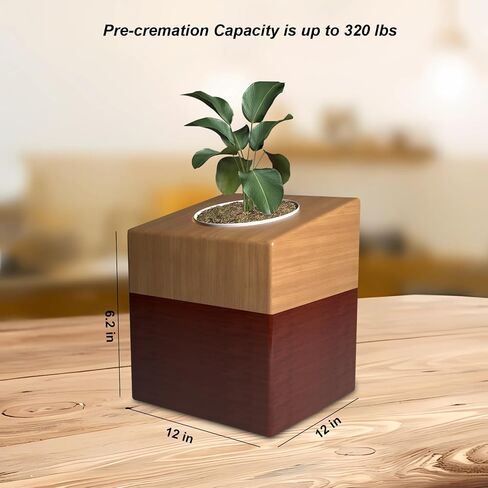 Plant Urn with Ceramic Pot, Urns for Human Ashes Adult Male or Female, Handmade Solid Wooden Urn in Saudi Arabia
