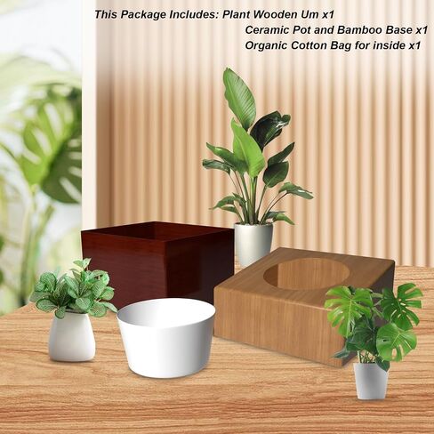 Plant Urn with Ceramic Pot, Urns for Human Ashes Adult Male or Female, Handmade Solid Wooden Urn in Saudi Arabia