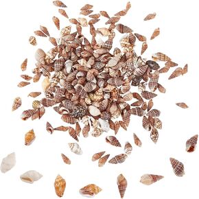 PH PandaHall 260pcs Small Seashells 4 Styles Natural Shell Beads Undyed Miniature Shells No Hole Ocean Spiral Seashells for Resin Home Party Wedding Fish Tank Glass Bottle Vase Filler Candle, 7~20mm