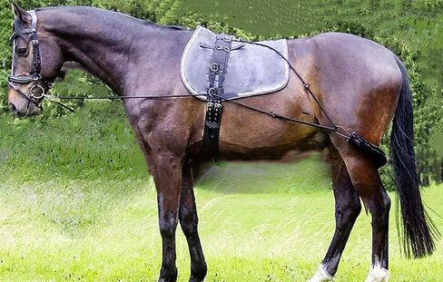 CHALLENGER Horse Adjustable Nylon Braided Lunging Training AIr with Fleece Cover 106SE01 in Saudi Arabia
