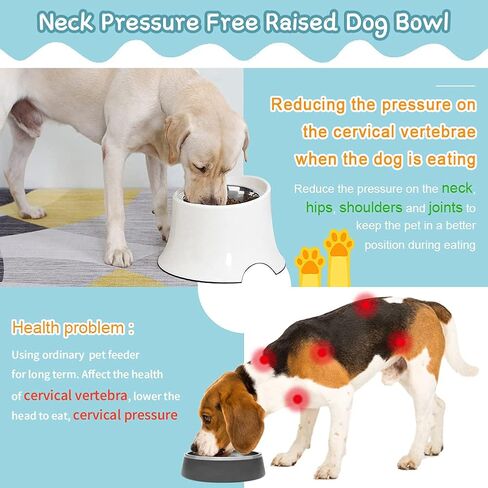 Super Design Elevated Dog Bowl Raised Dog Feeder for Food and Water, Non Spill Edges & Non Skid Sturdy Melamine Stand, Reduce Neck Stress, Less Regurgitating and Vomiting 1 Cup Orange in Saudi Arabia