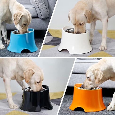 Super Design Elevated Dog Bowl Raised Dog Feeder for Food and Water, Non Spill Edges & Non Skid Sturdy Melamine Stand, Reduce Neck Stress, Less Regurgitating and Vomiting 1 Cup Orange in Kuwait