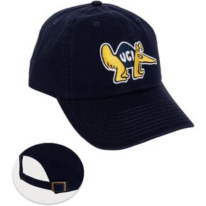 Desert Cactus University of California Irvine Baseball Hat Anteaters UCI Eaters Brimmed Embroirderd Cap Adjustable Cloth Strap Adult (Style B) Blue