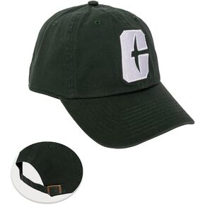 Desert Cactus University of North Carolina Charlotte Baseball Hat UNCC Forty Niners 49ers Embroirderd Cap Adult (Style A) Green