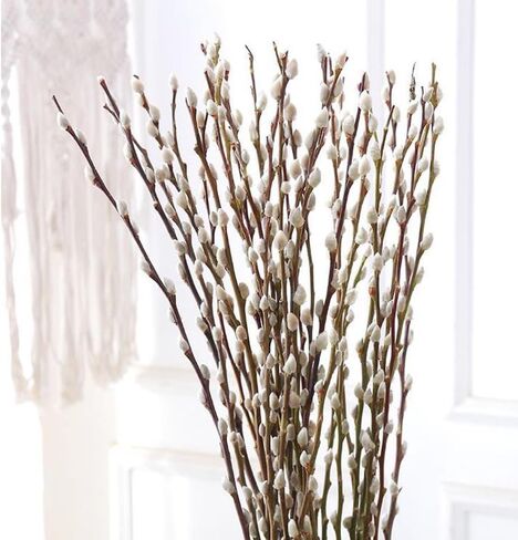 30 Branches Pussy Willow Branches for Vases 23 Inches Natural Dried Pussy Willows Real Dried Flowers 2 Years Long Lasting for Home Decoration in Saudi Arabia
