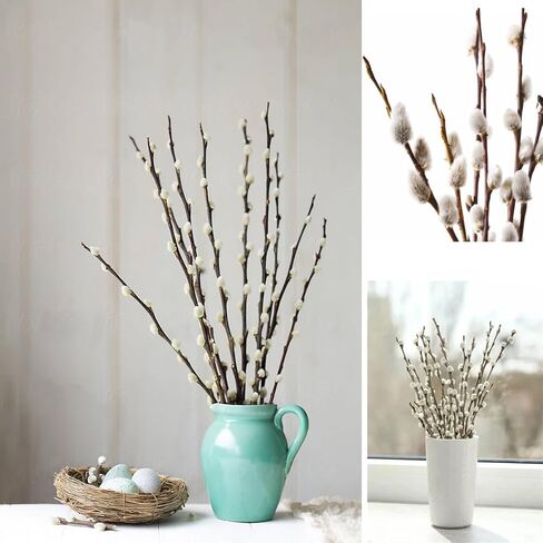 30 Branches Pussy Willow Branches for Vases 23 Inches Natural Dried Pussy Willows Real Dried Flowers 2 Years Long Lasting for Home Decoration in Saudi Arabia