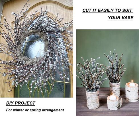 30 Branches Pussy Willow Branches for Vases 23 Inches Natural Dried Pussy Willows Real Dried Flowers 2 Years Long Lasting for Home Decoration in Saudi Arabia
