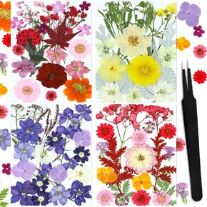 The 82 Natural Pressed Dried Flower Set is Made from Natural Pressed Flowers and Green Plants, maintaining The Color, Shape, and Aroma of Fresh Vanilla.