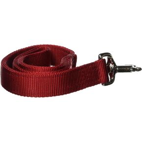 Hamilton Pet & Equine Hamilton Double Thick Nylon Dog Traffic Lead Total Length Including Loop Handle, 1-Inch by 2-Feet, Blue