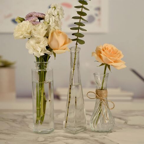 Bud Vases Set of 10,Small Glass Vase for Flowers,Bud Vases in Bulk,Clear Glass Vases for Centerpieces,Mini Vase Set for Flowers Wedding Decorations (Clear, 10) in Saudi Arabia