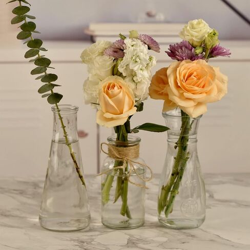 Bud Vases Set of 10,Small Glass Vase for Flowers,Bud Vases in Bulk,Clear Glass Vases for Centerpieces,Mini Vase Set for Flowers Wedding Decorations (Clear, 10) in Saudi Arabia
