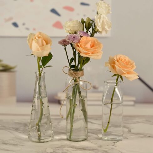 Bud Vases Set of 10,Small Glass Vase for Flowers,Bud Vases in Bulk,Clear Glass Vases for Centerpieces,Mini Vase Set for Flowers Wedding Decorations (Clear, 10) in Saudi Arabia